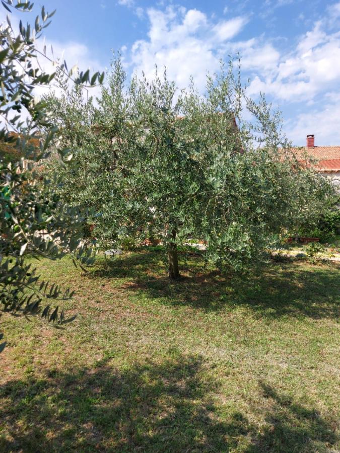 Apartments Marija Umag Dış mekan fotoğraf