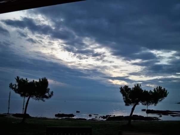 Apartments Marija Umag Dış mekan fotoğraf