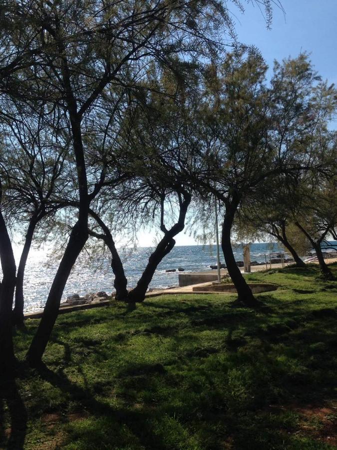 Apartments Marija Umag Dış mekan fotoğraf
