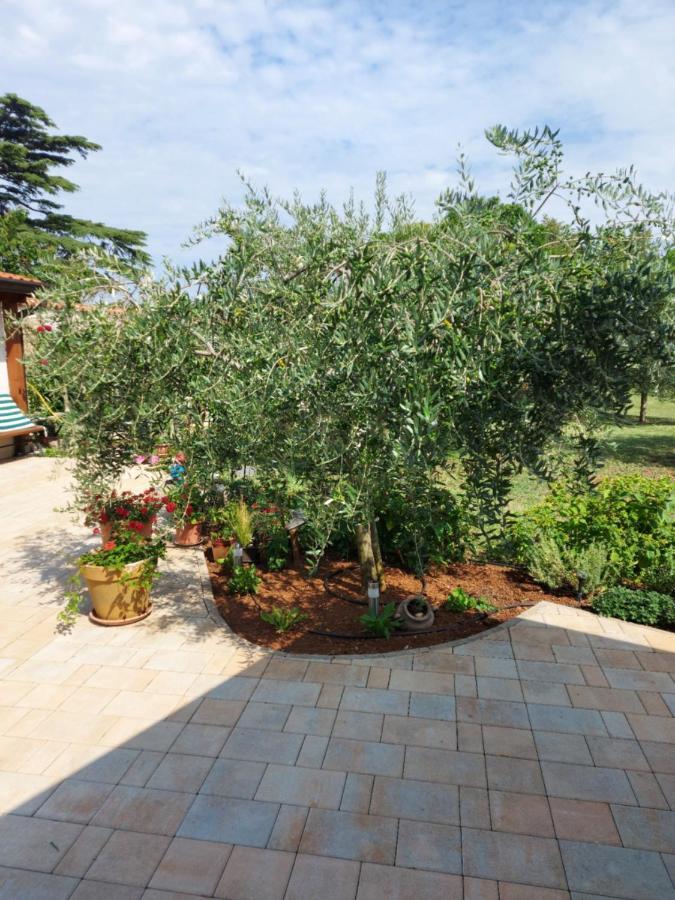Apartments Marija Umag Dış mekan fotoğraf